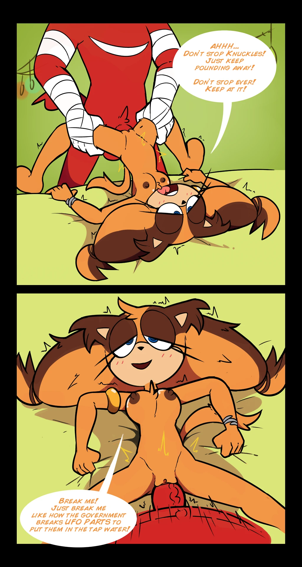 Sticks & Knuckles porn comic picture 8