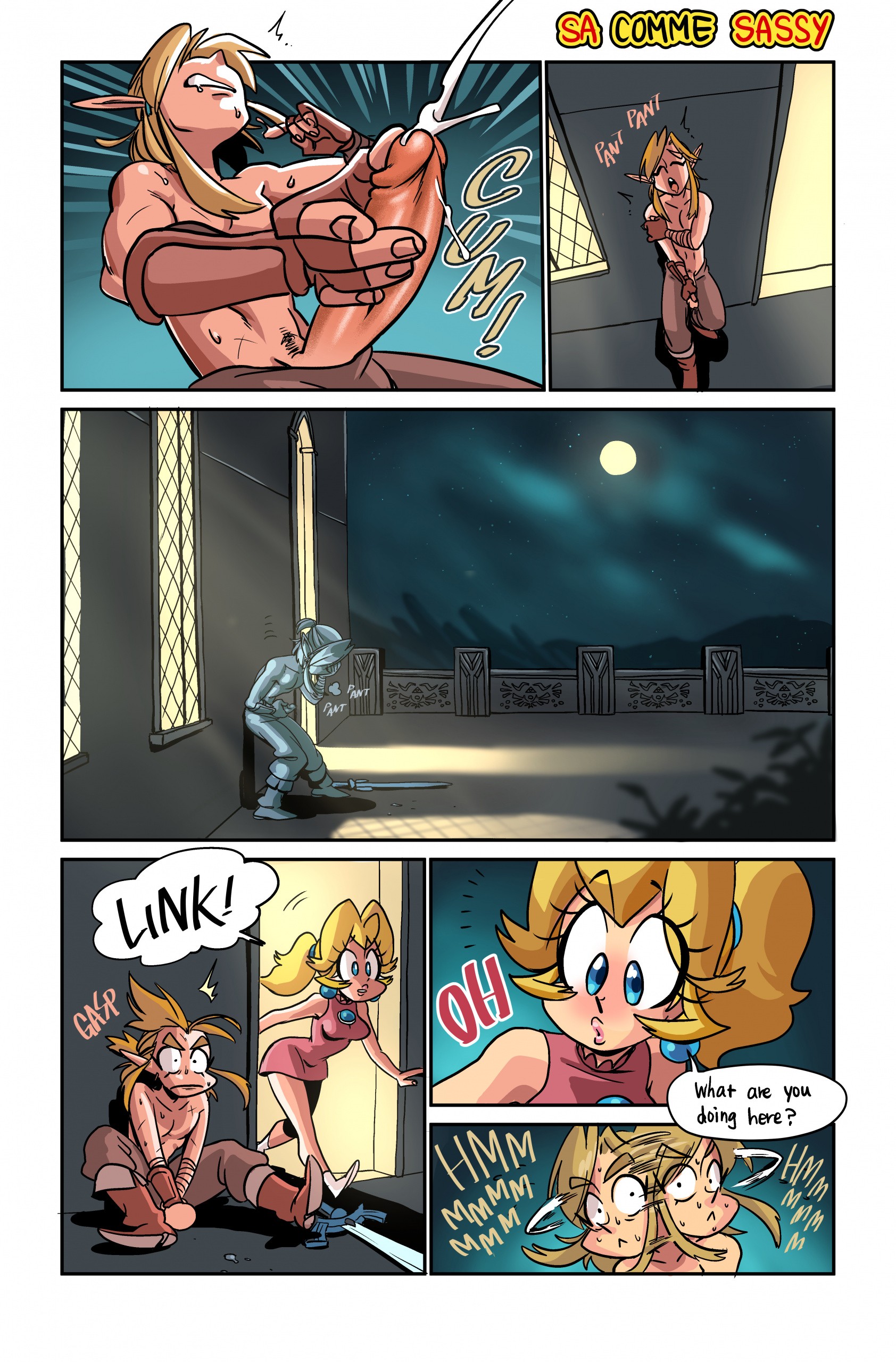 The Hero of Hyrule porn comic picture 6