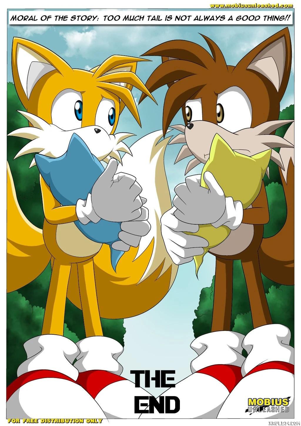 Foxxxes^2 - 2 Much Tail porn comic picture 11