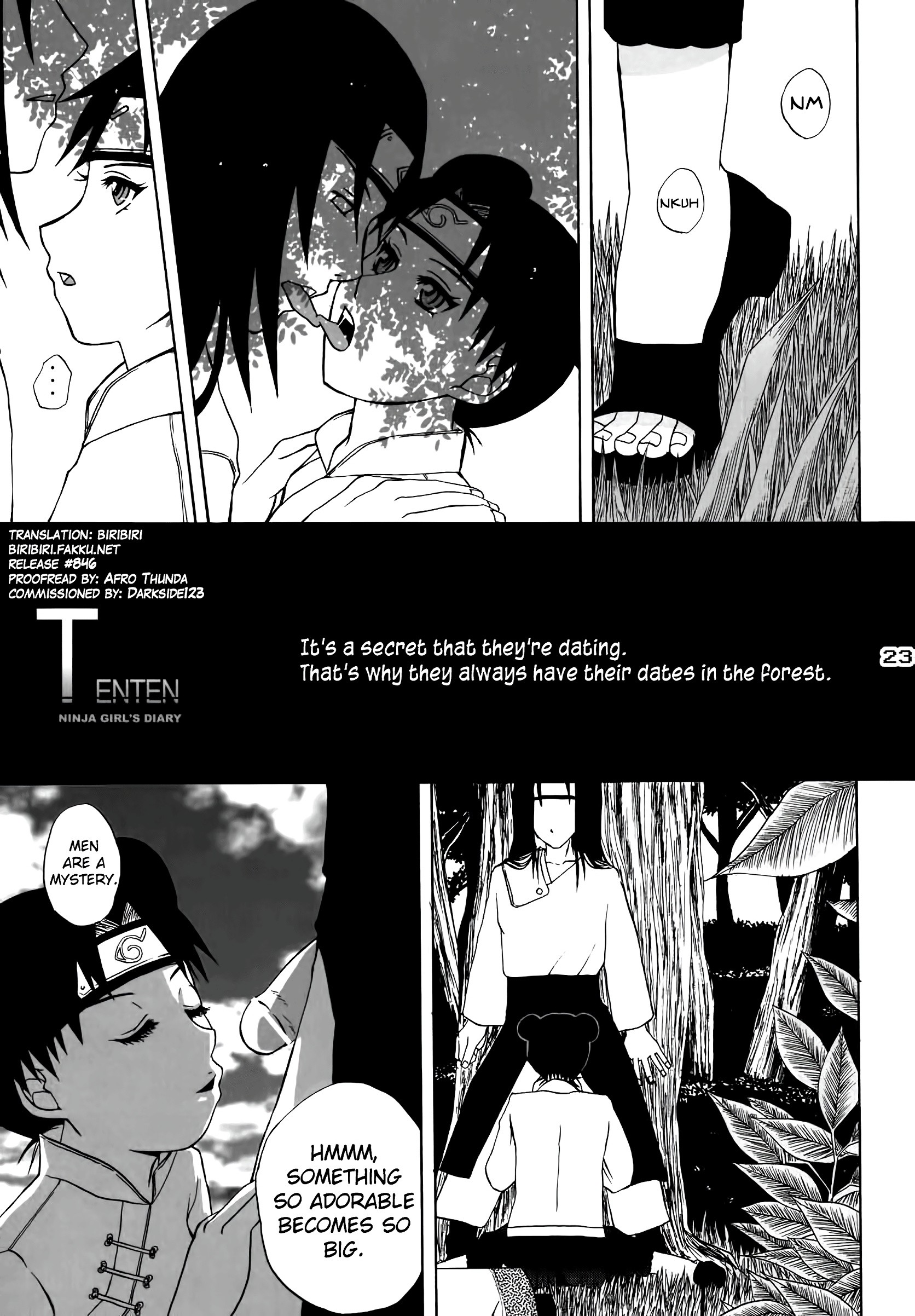 Ninja Girl's Diary porn comic picture 20