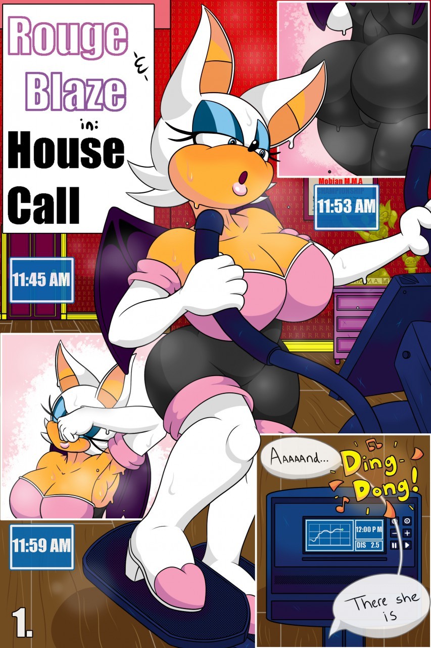 Rouge and Blaze in: House Call porn comic picture 1