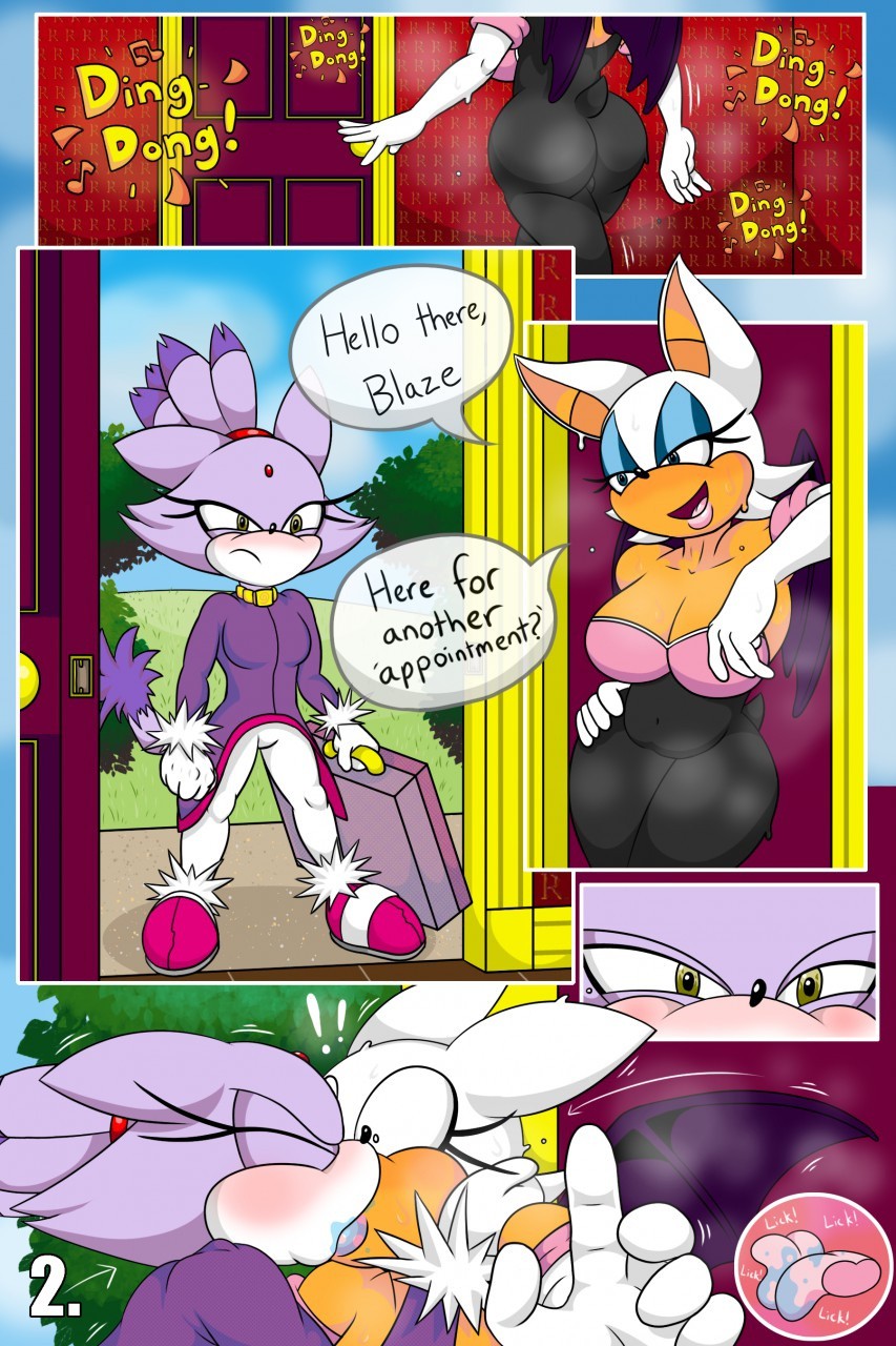 Rouge and Blaze in: House Call porn comic picture 2