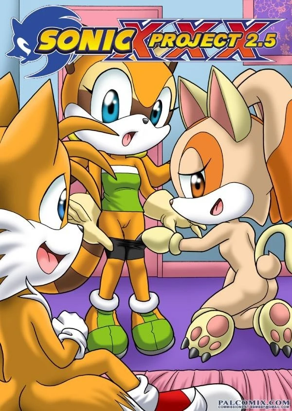Sonic Project XXX 2.5 porn comic picture 1