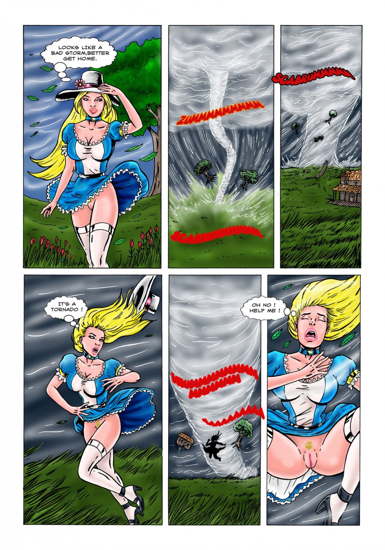 Alice in the Country XXX porn comic picture 2