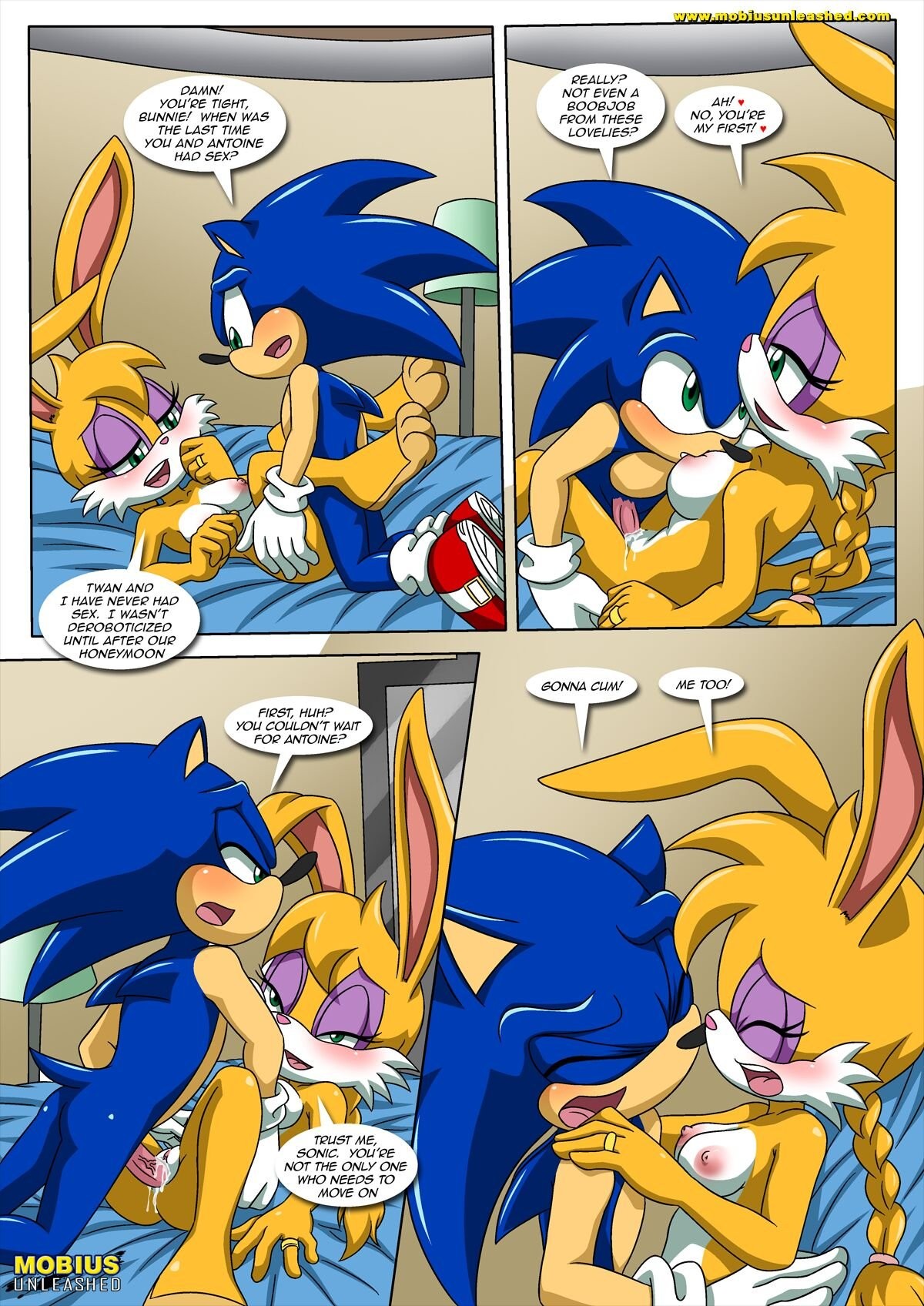 Sonic and Sally Break Up porn comic picture 12
