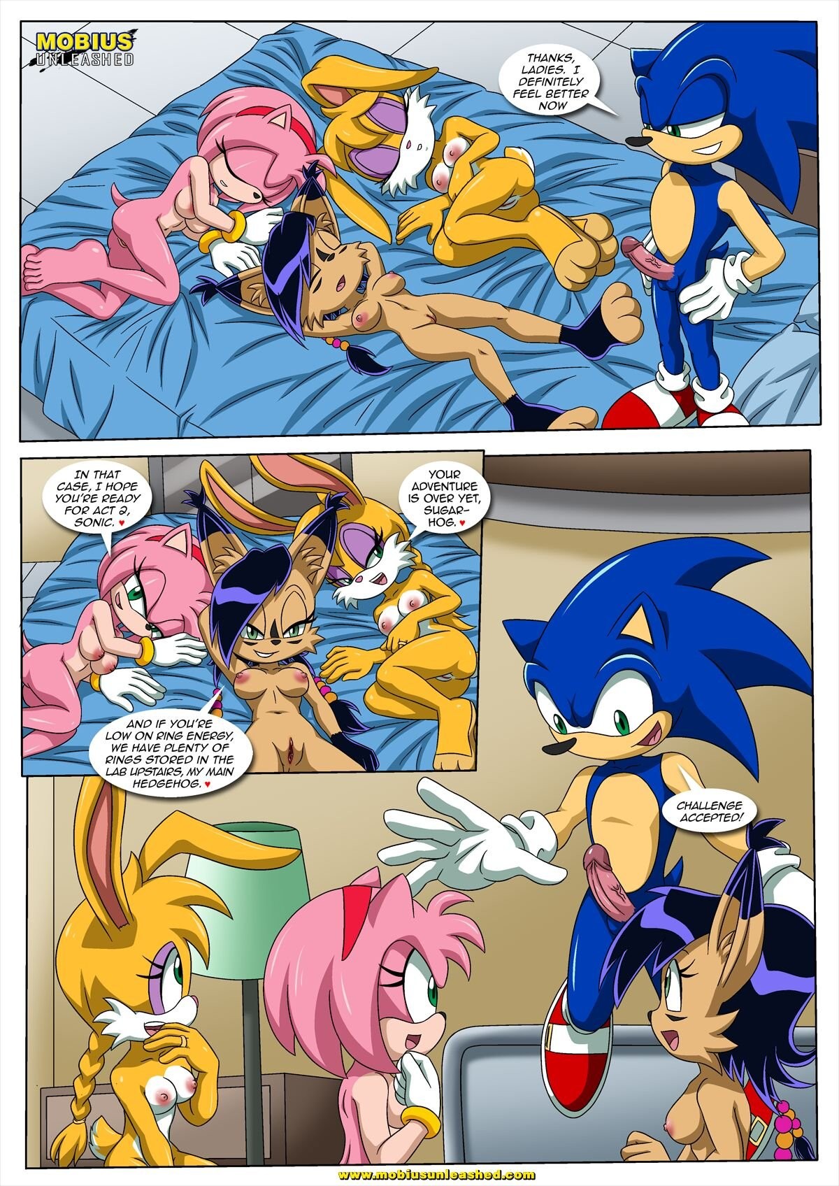 Sonic and Sally Break Up porn comic picture 15