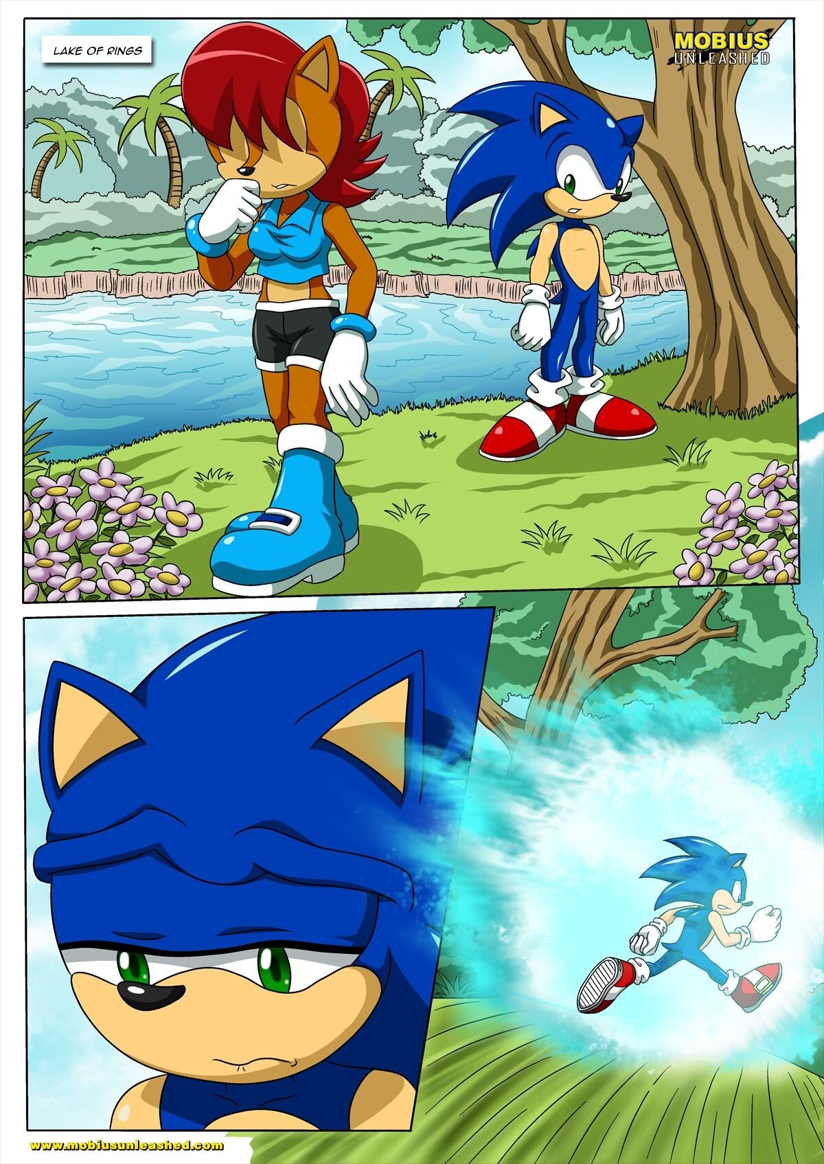 Sonic and Sally Break Up porn comic picture 2