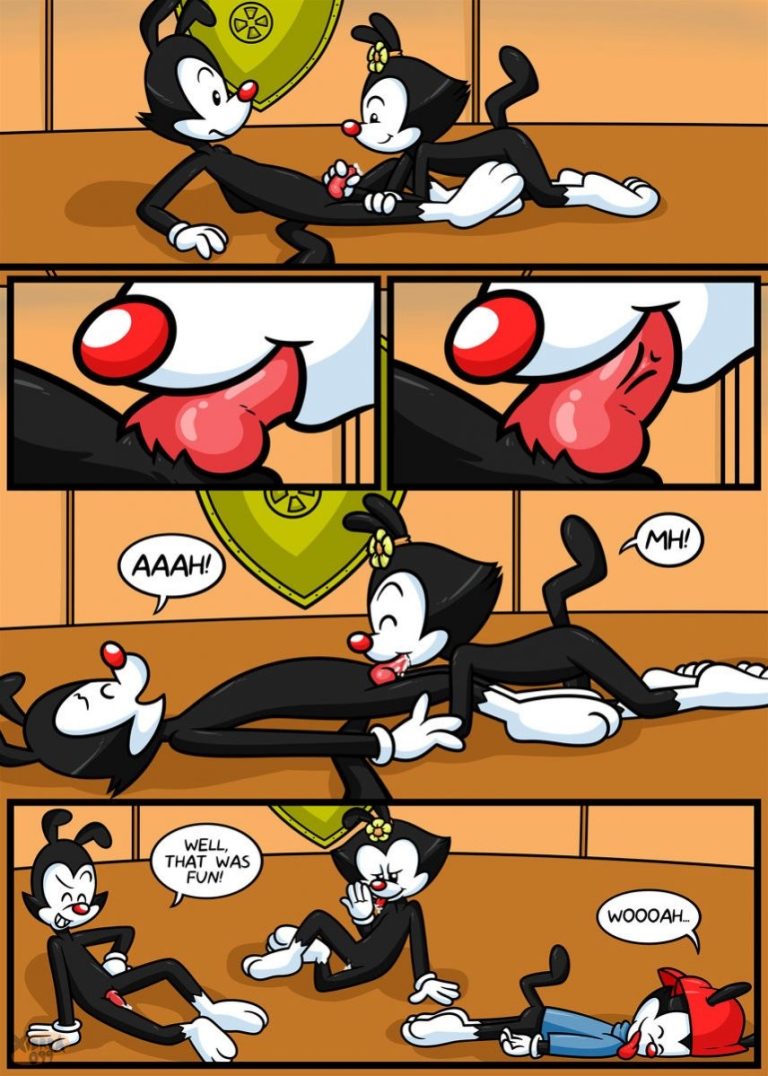 Warner bros and their sisterdot porn comic picture 10