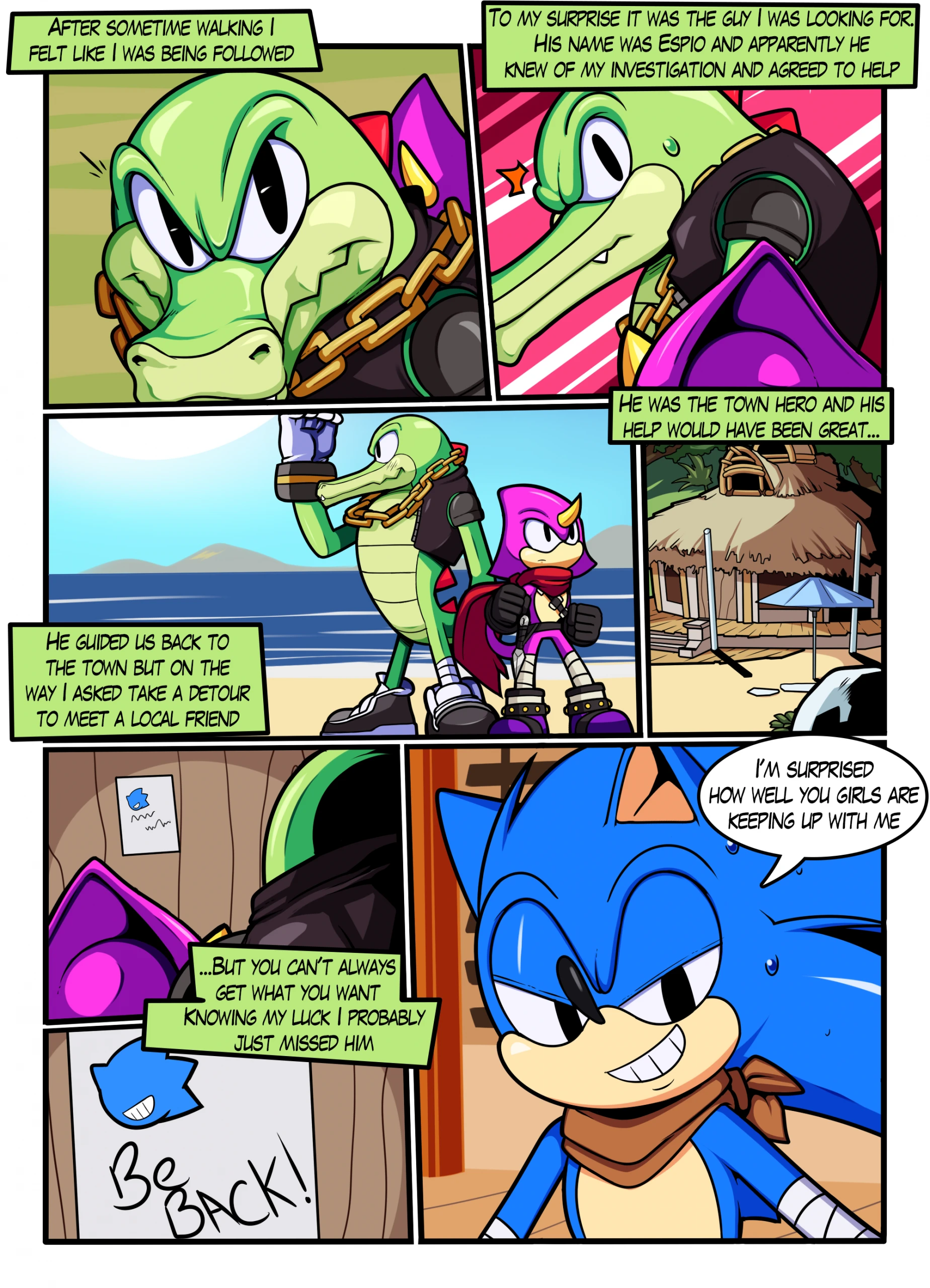 Chaotix Boom porn comic picture 6
