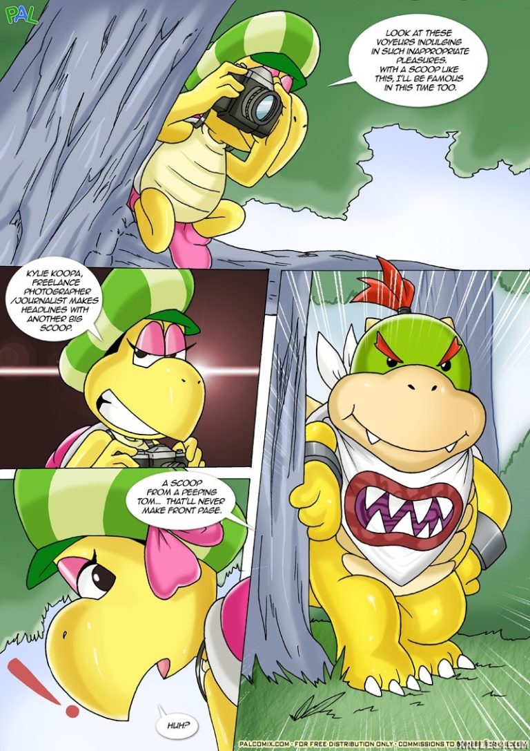 Mario Project 2 porn comic picture 2