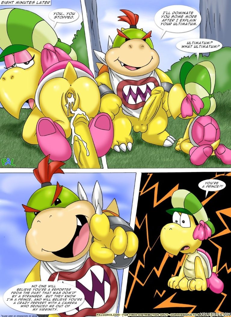 Mario Project 2 porn comic picture 6