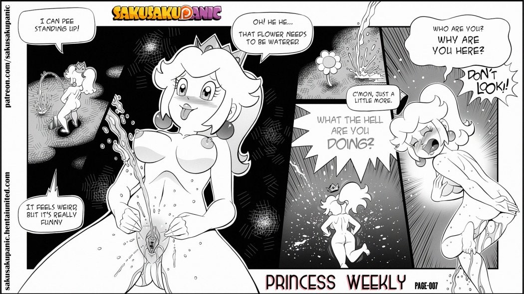 Princess Weekly: The Secret porn comic picture 7