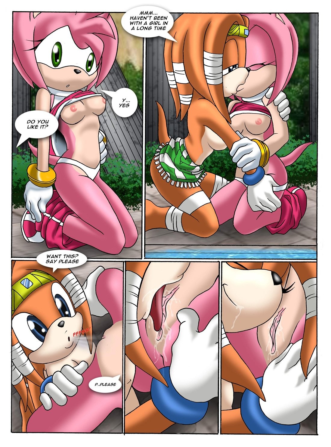 Sonic XXX Project 2 porn comic picture 16