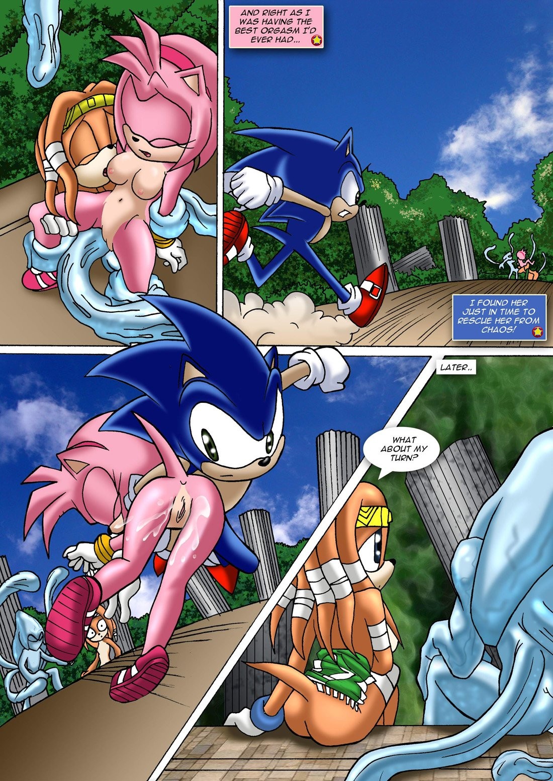 Sonic XXX Project 2 porn comic picture 23