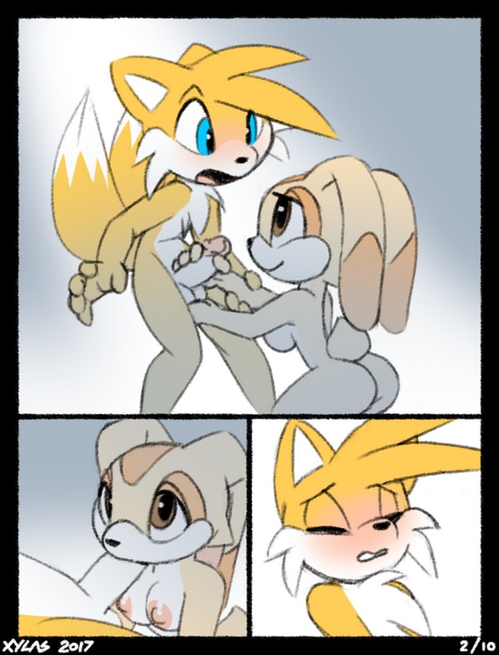 Tails And Cream porn comic picture 2