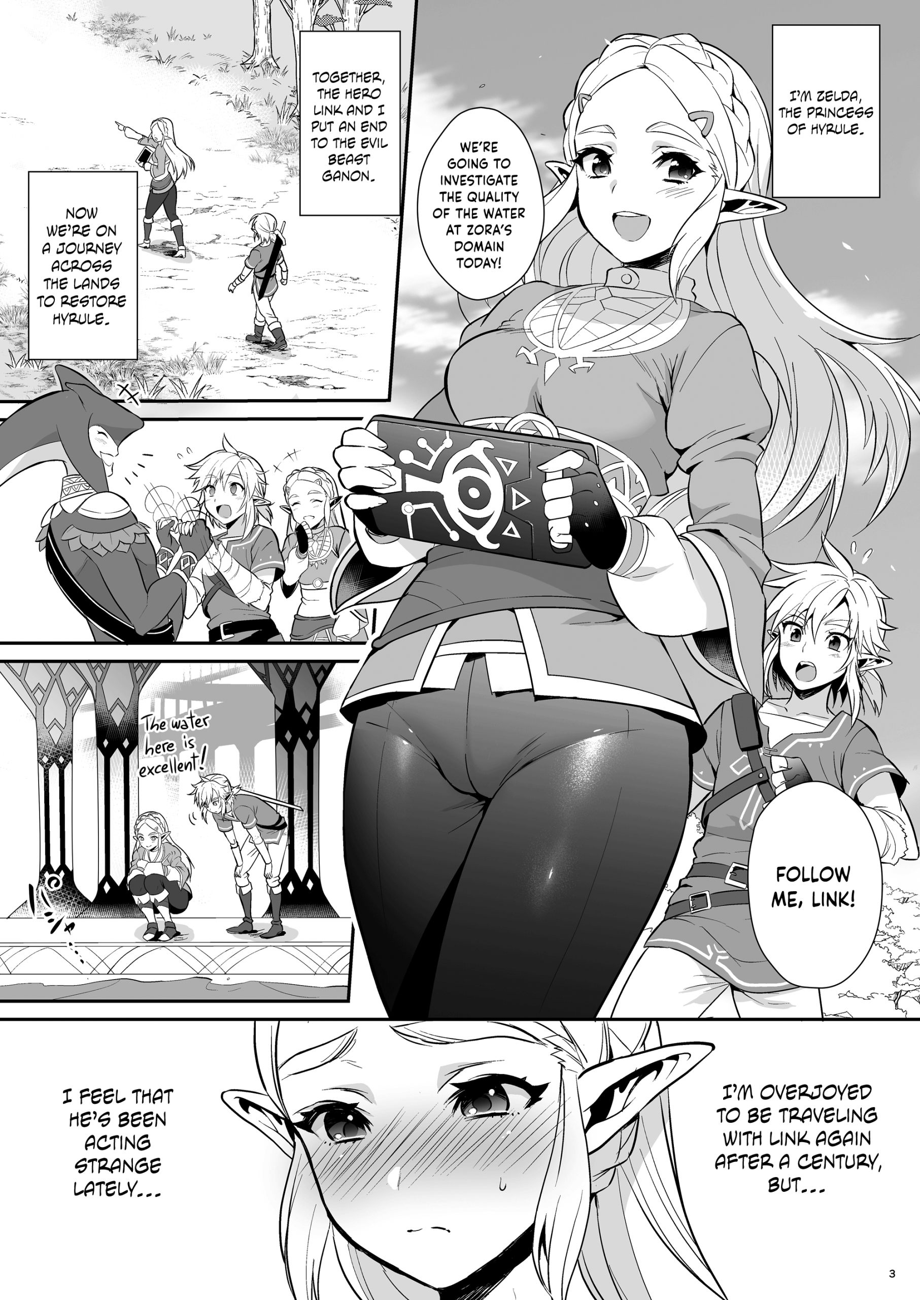 Taking Steps to Ensure Hyrule's Prosperity! hentai manga picture 2