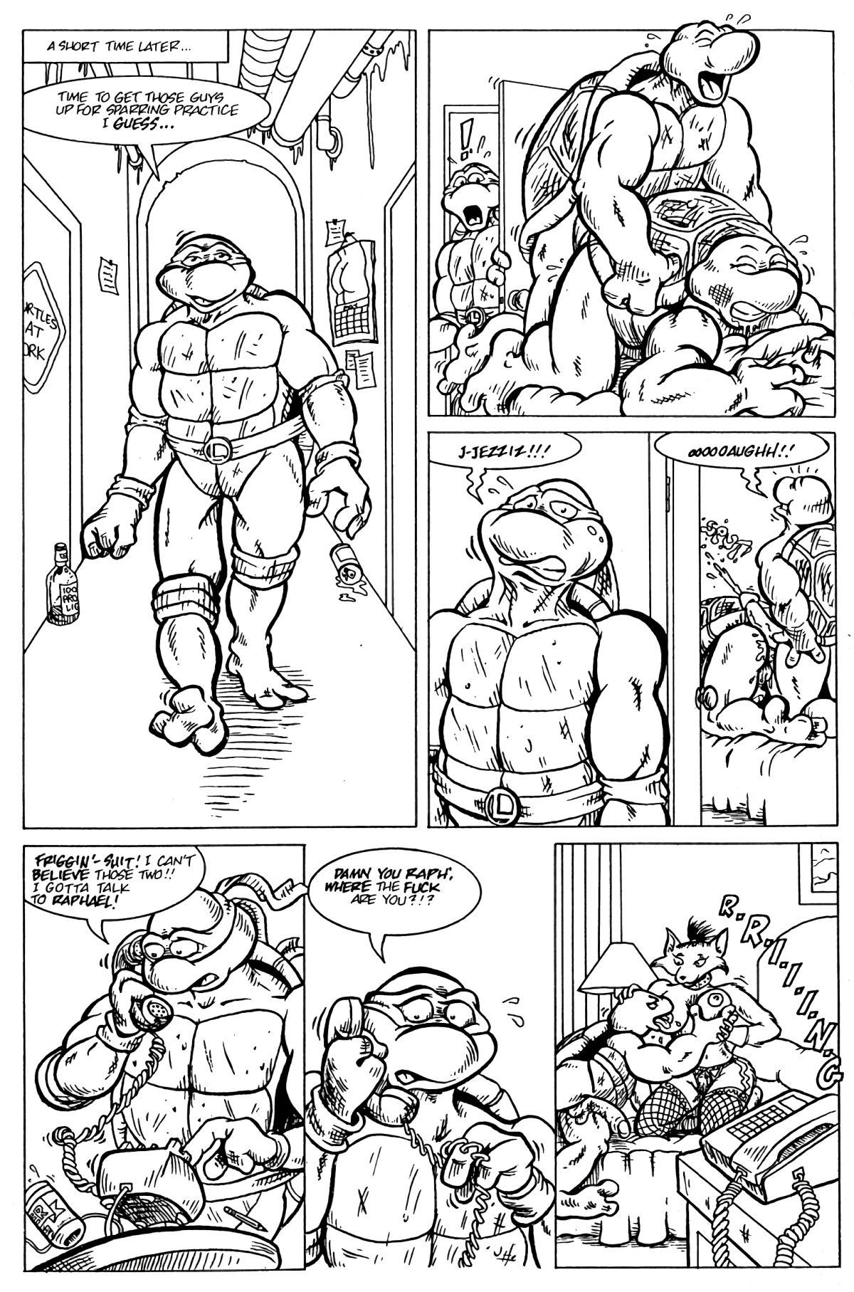 Teenage Mutant Ninja Turtles porn comic picture 5
