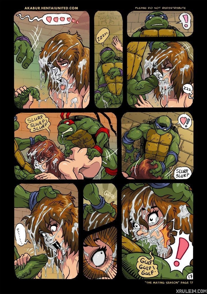 Turtles porn comic picture 18