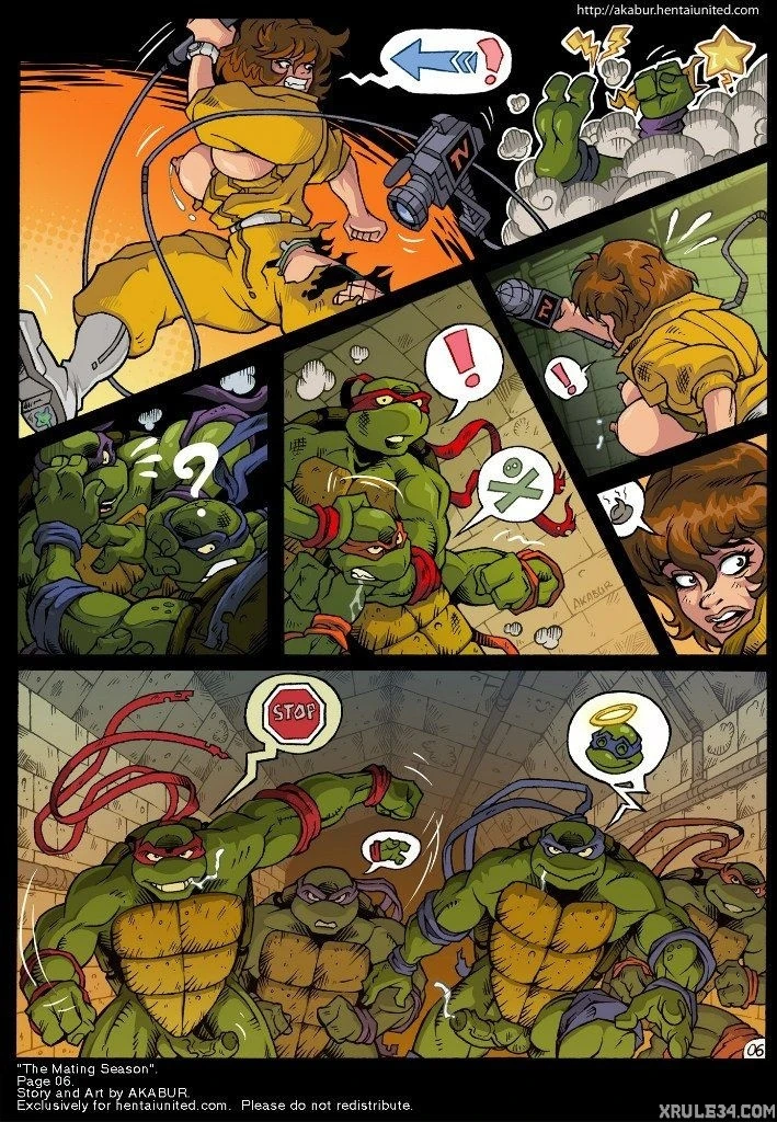 Turtles porn comic picture 7