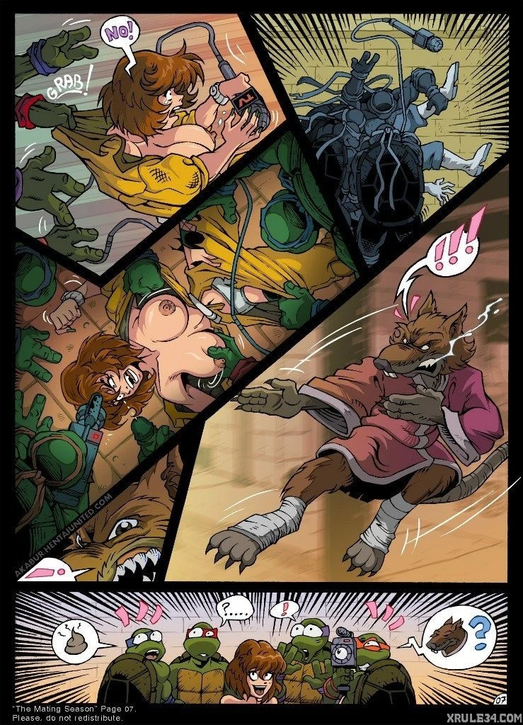 Turtles porn comic picture 8