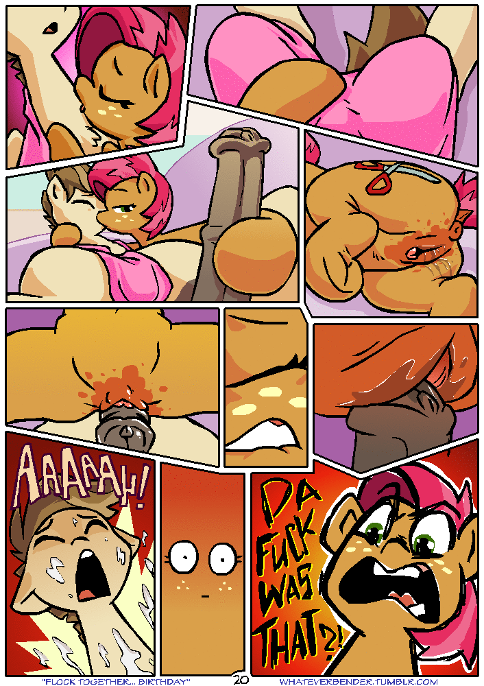 Flock Together...Birthday porn comic picture 20