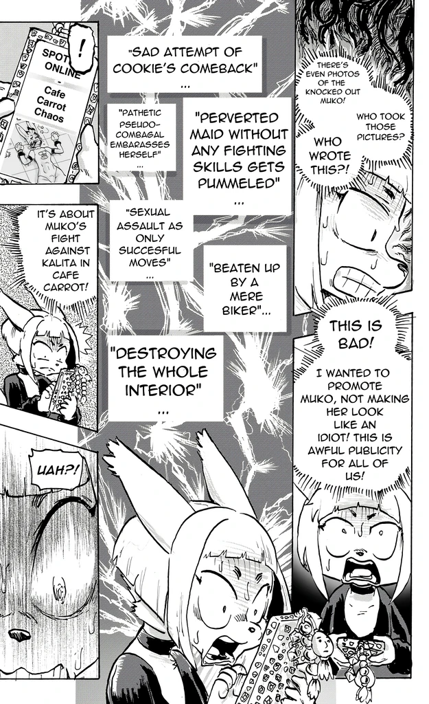 Furry Fight Chronicles 10 - 20 porn comic picture 16