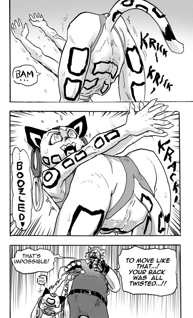 Furry Fight Chronicles 10 - 20 porn comic picture 175