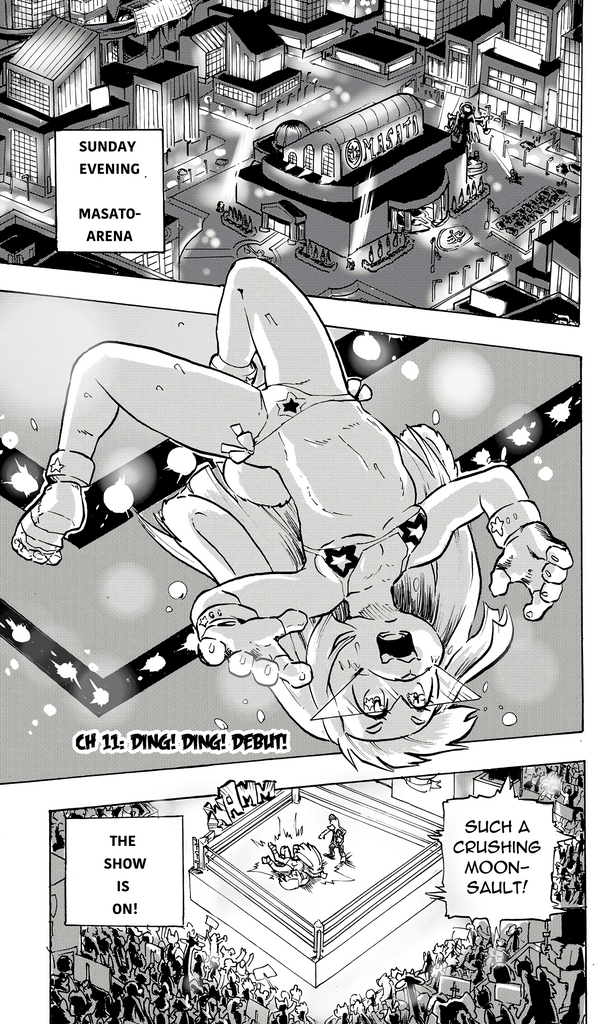 Furry Fight Chronicles 10 - 20 porn comic picture 26