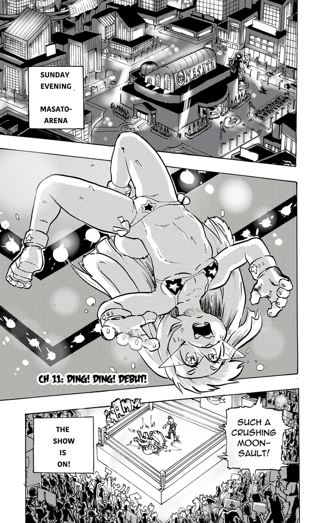 Furry Fight Chronicles 10 - 20 porn comic picture 26