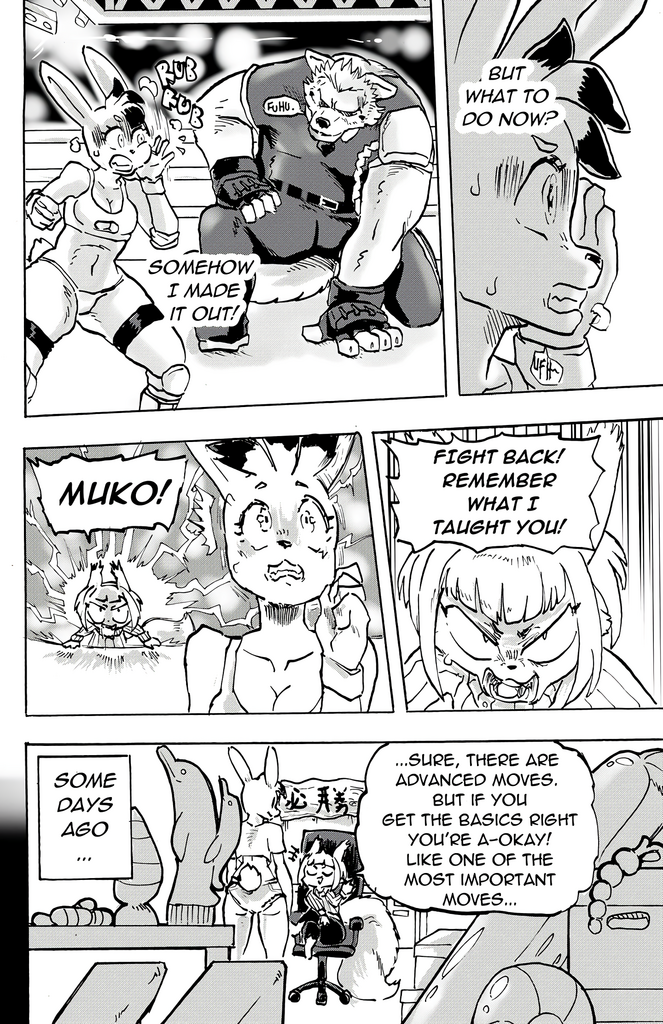 Furry Fight Chronicles 10 - 20 porn comic picture 62
