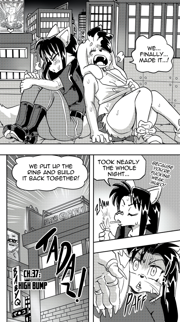 Furry Fight Chronicles 31 - 40 porn comic picture 118