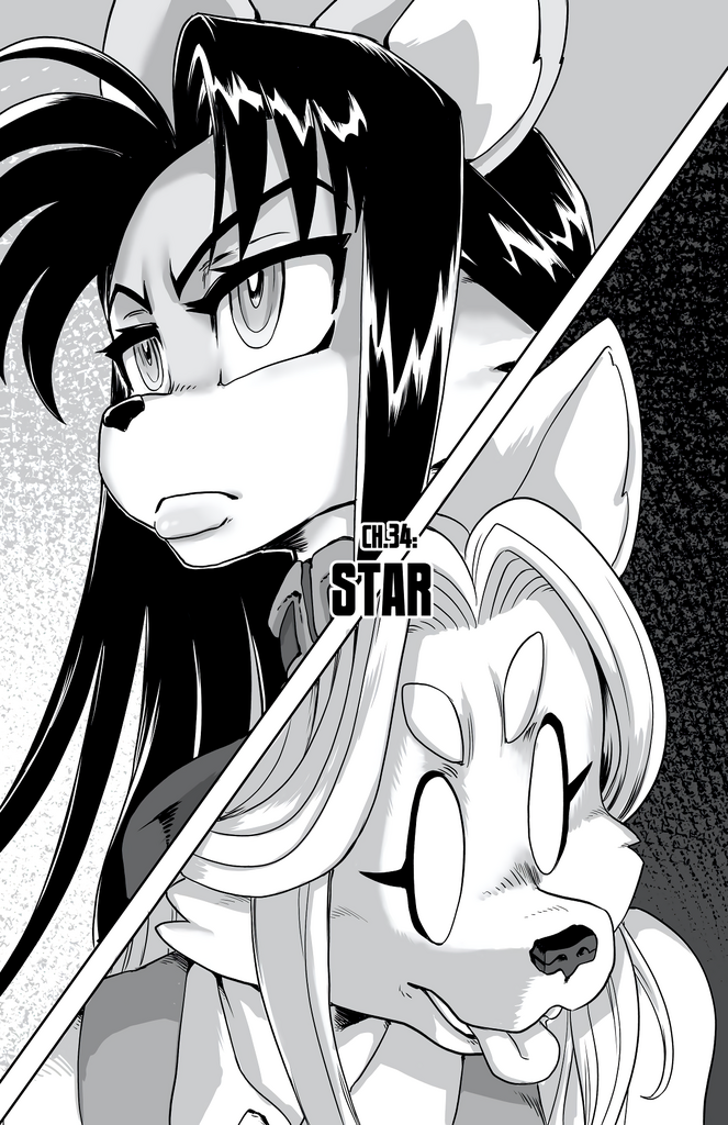 Furry Fight Chronicles 31 - 40 porn comic picture 65