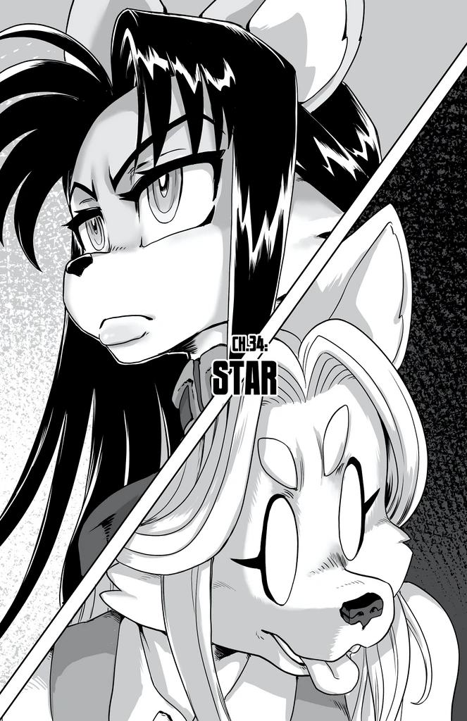 Furry Fight Chronicles 31 - 40 porn comic picture 65