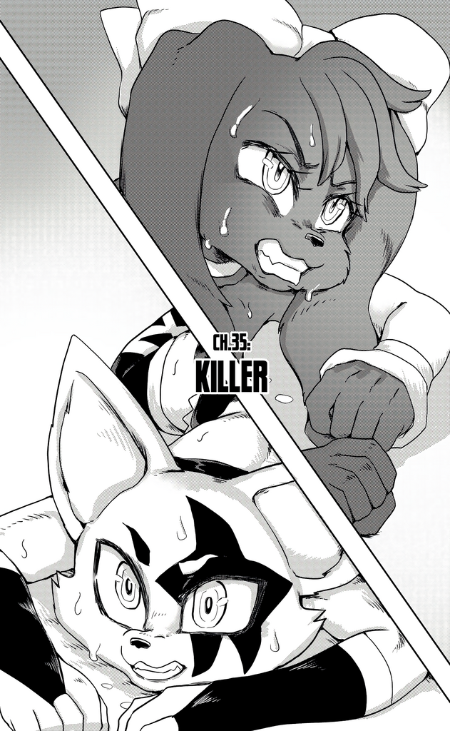 Furry Fight Chronicles 31 - 40 porn comic picture 81