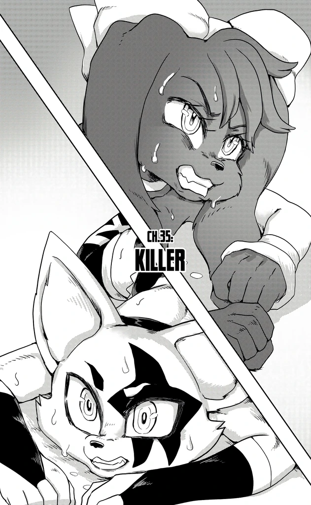 Furry Fight Chronicles 31 - 40 porn comic picture 81