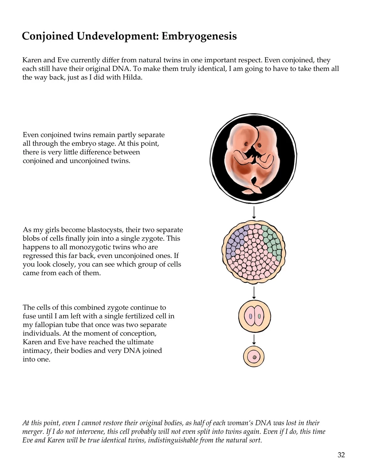 Anatomy & Physiology of Unbirthing porn comic picture 33