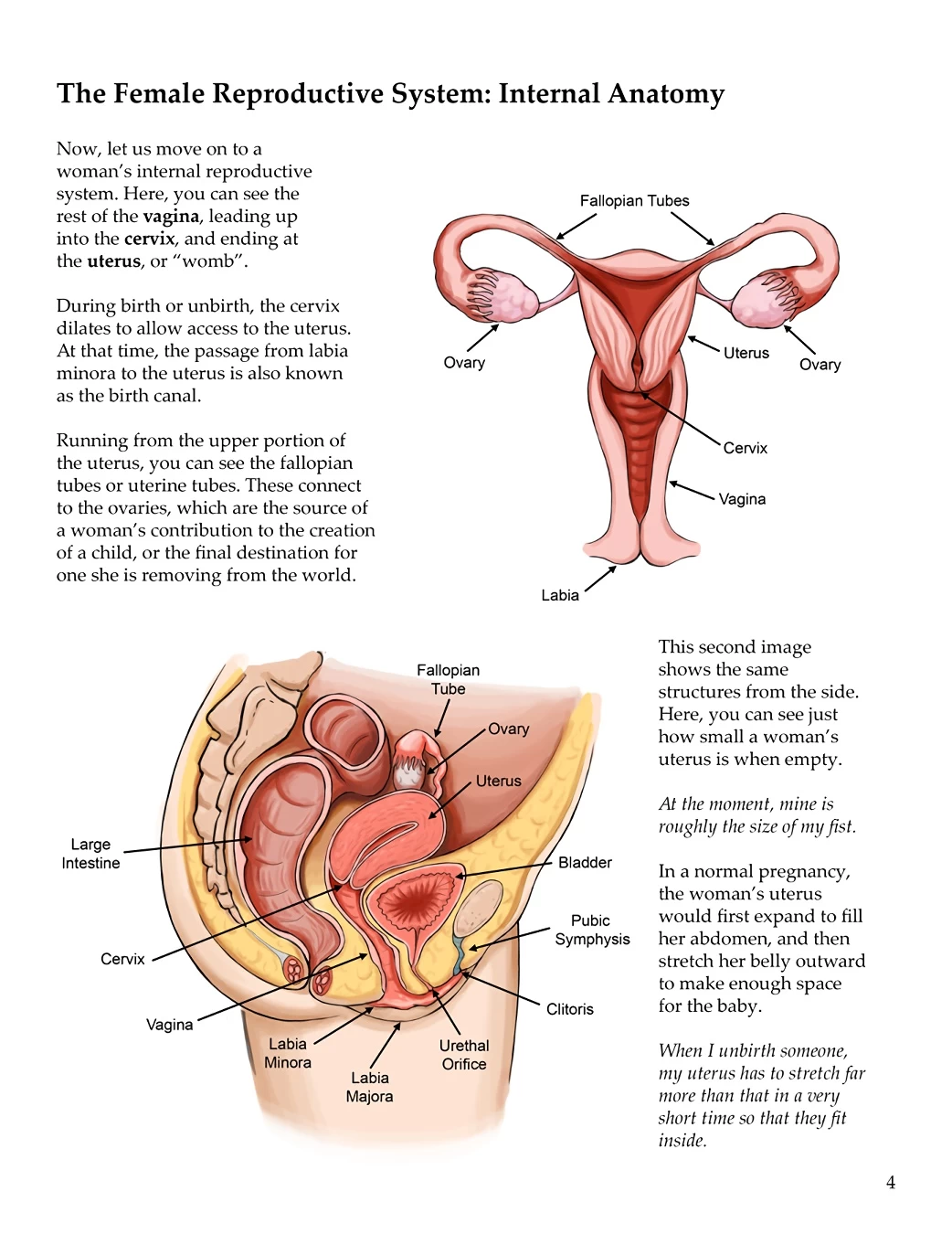 Anatomy & Physiology of Unbirthing porn comic picture 5