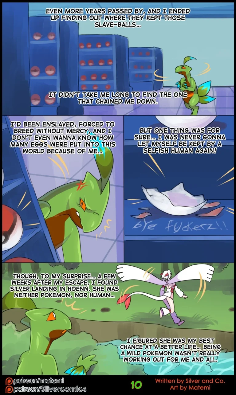 Tales Of Shamrock porn comic picture 11