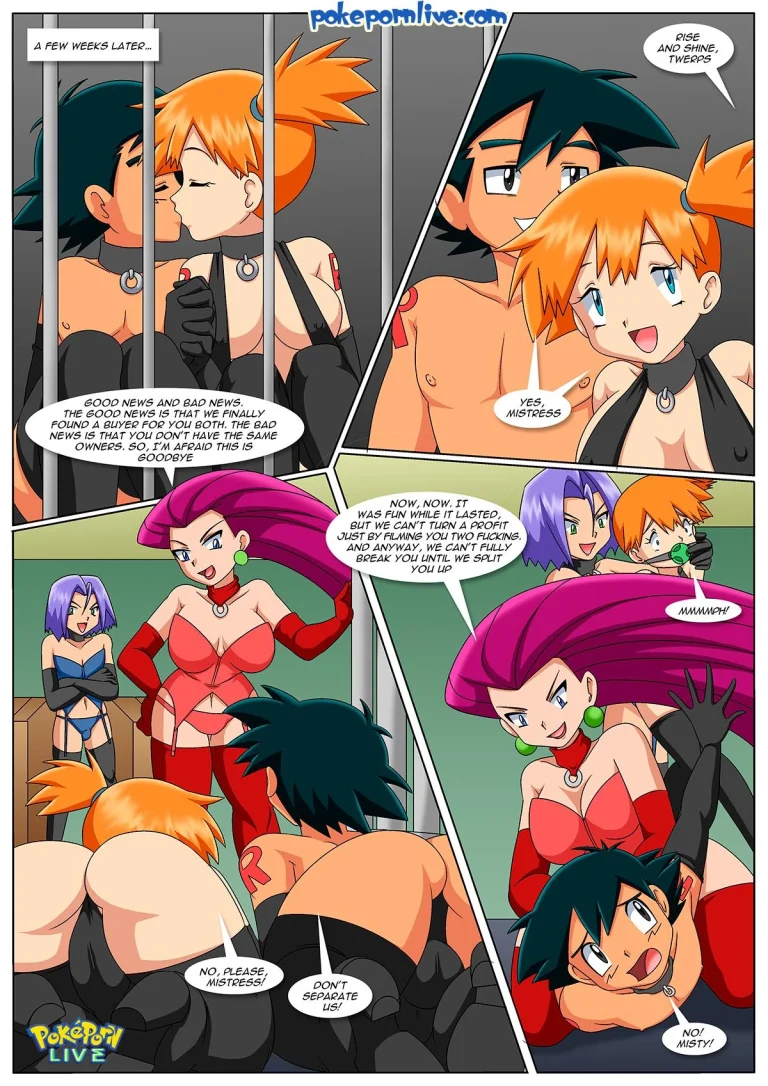 To Catch A Trainer porn comic picture 18