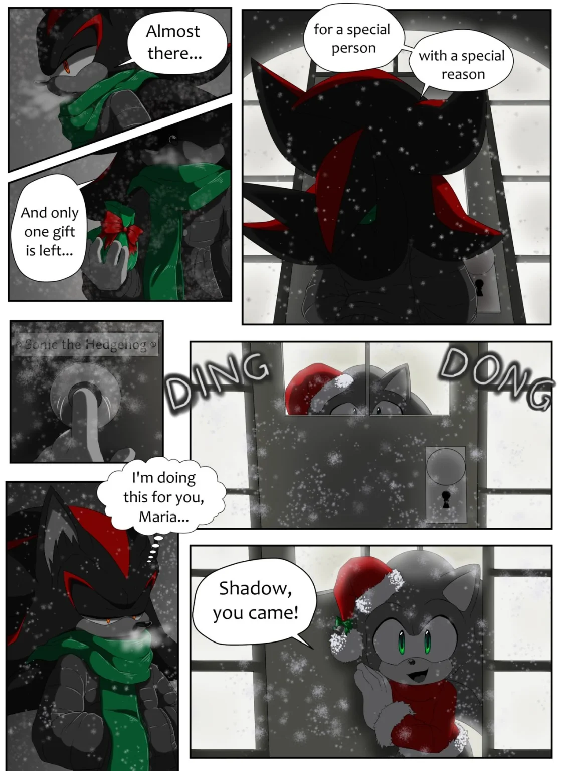 Twelve Pages of Sonadow porn comic picture 1