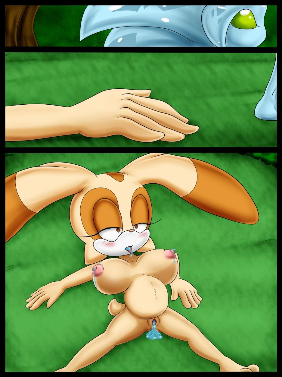 After Rain - Sonic The Hedgehog porn comic picture 5