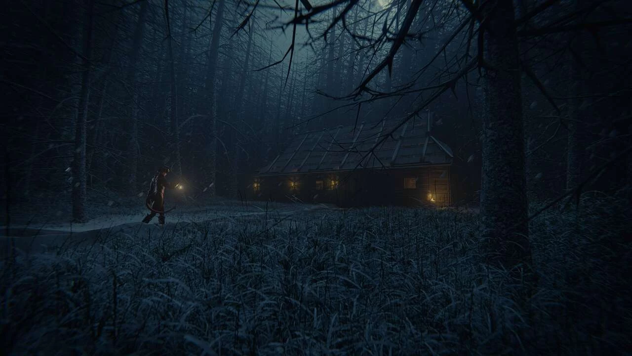 Baldur's Date - Shadow and Fire porn comic picture 2