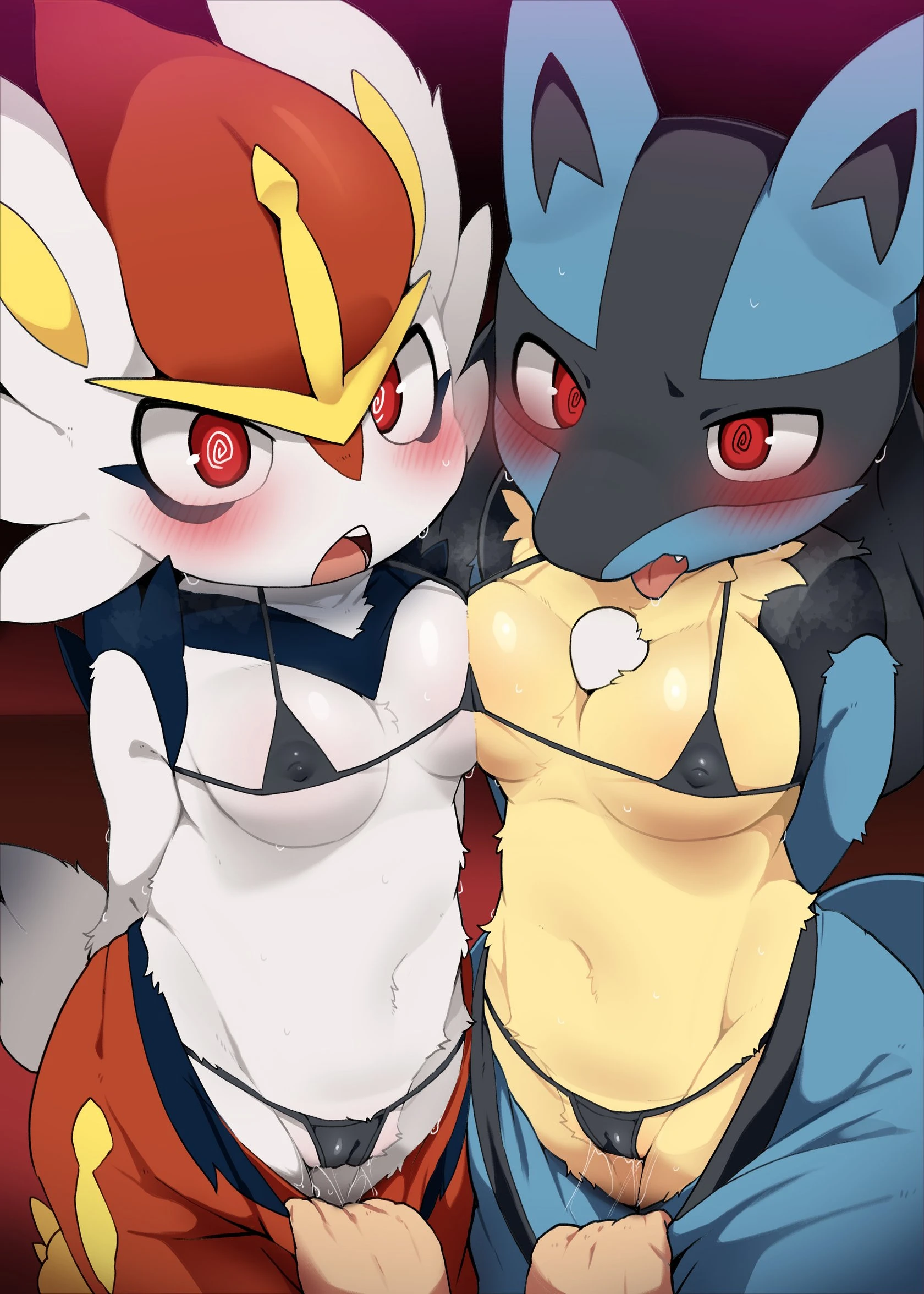 Cinderace and lucario porn comic picture 1