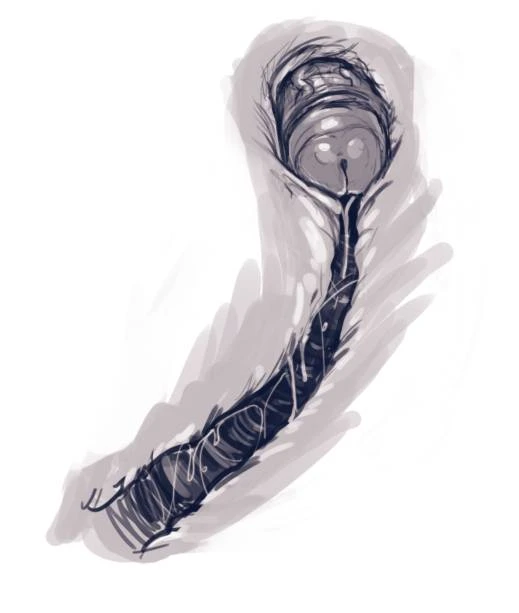 Harley Quin Superslut porn comic picture 53