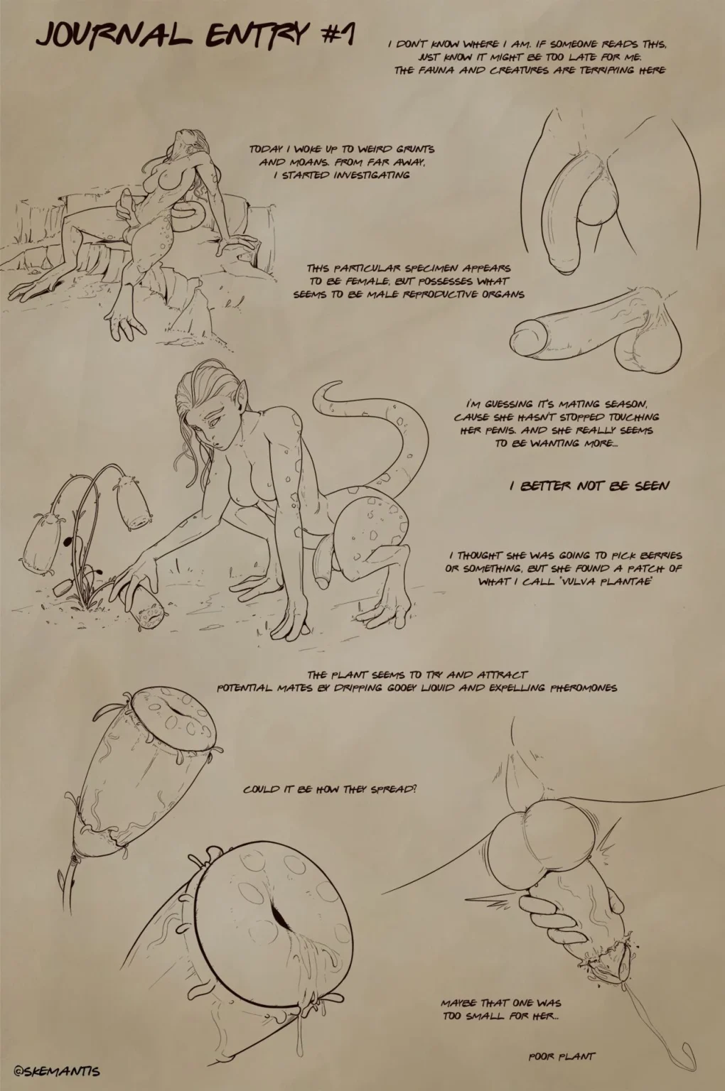 Journal Entries porn comic picture 1