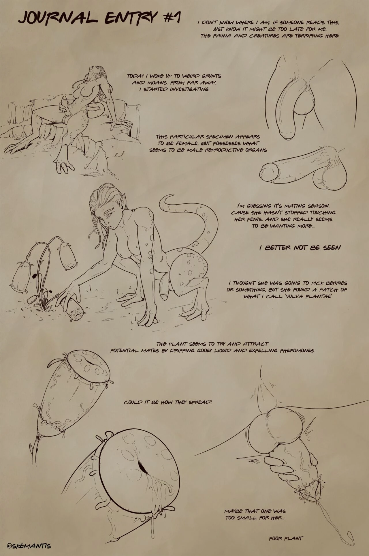 Journal Entries porn comic picture 1