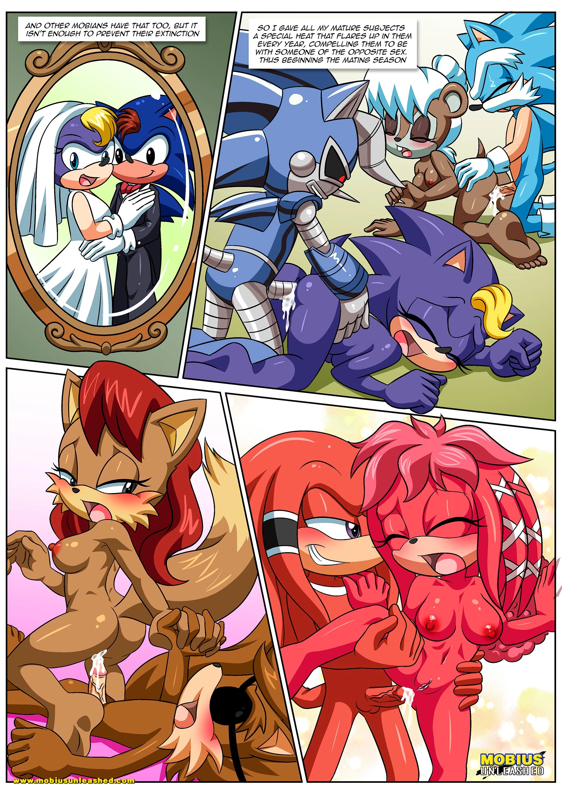 Mobian Mating Season porn comic picture 3