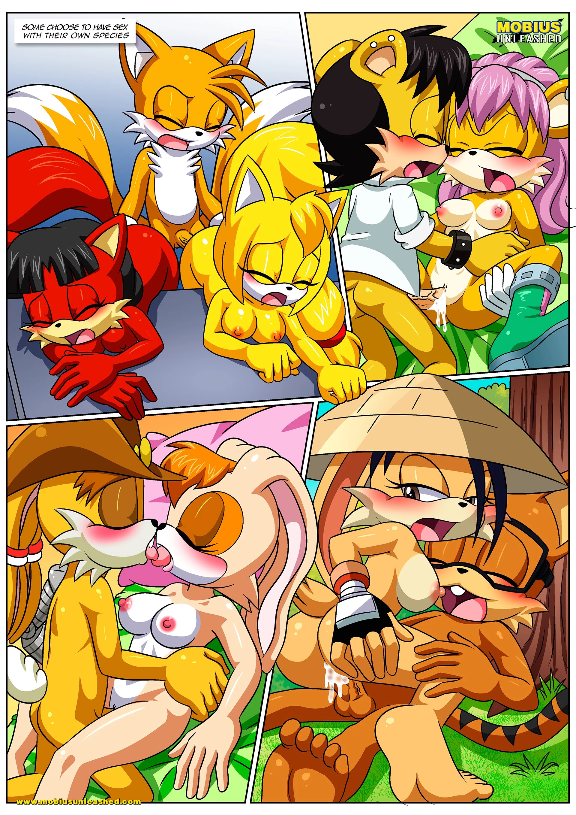 Mobian Mating Season porn comic picture 4
