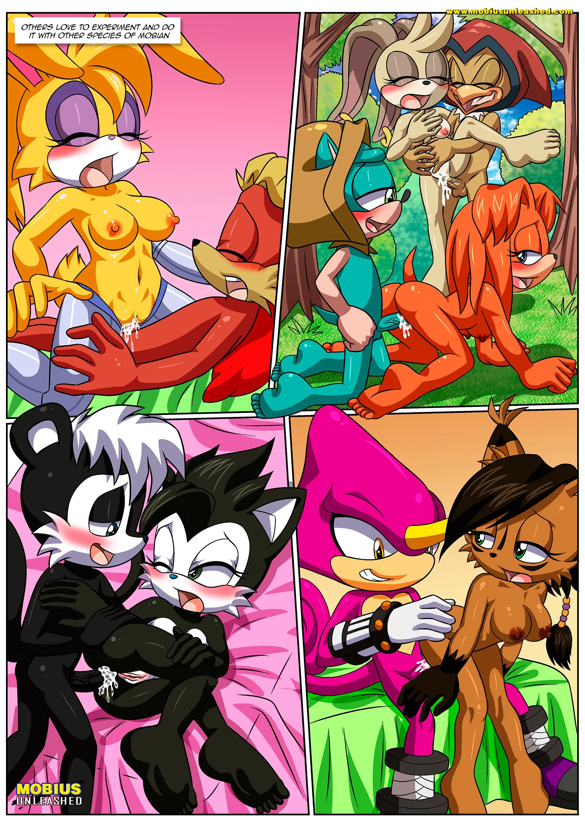 Mobian Mating Season porn comic picture 5