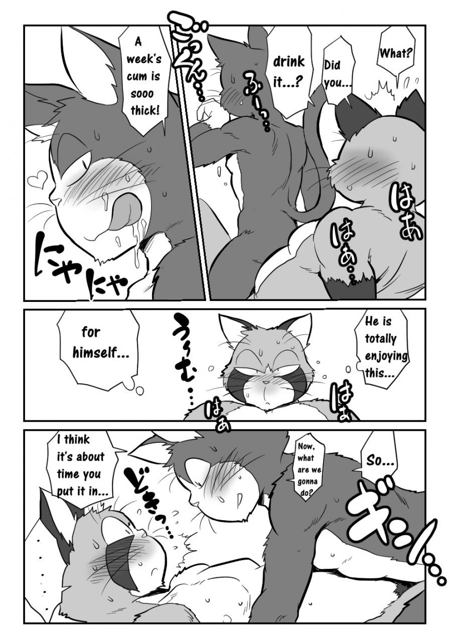 Neko X Neko porn comic picture 16